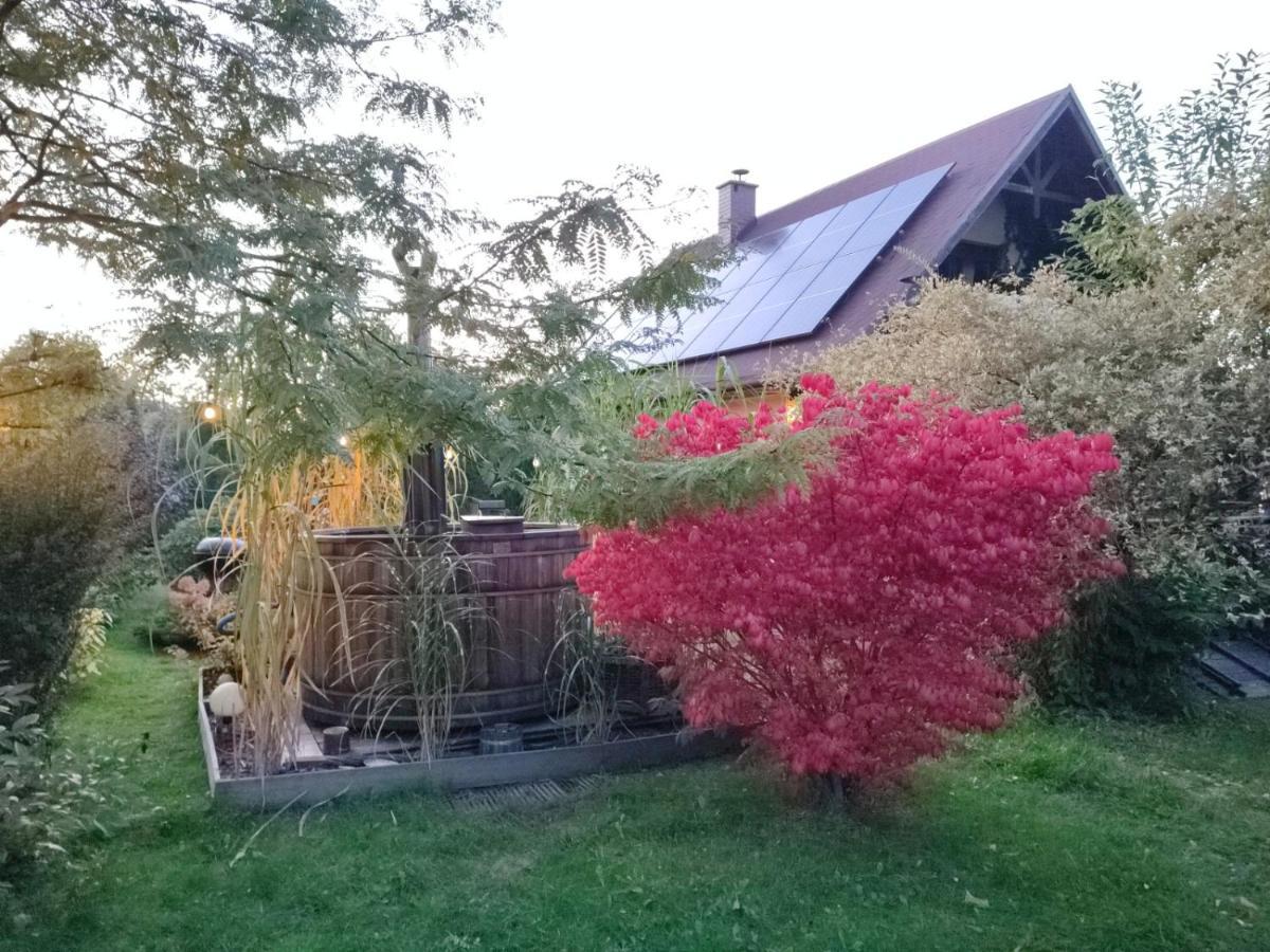 Smyrkowy Dom Z Kominkiem Z Goraca Balia Kolo Karpacza Janowice Wielkie Extérieur photo